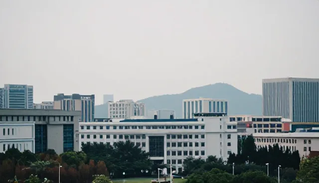技术开发中优化策略的误区与正确方向